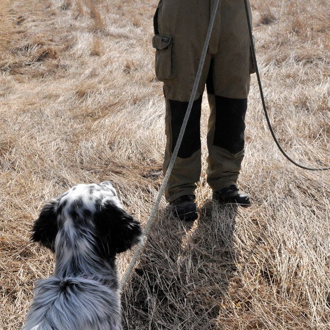 Dog Training Professionals in Nanyuki-60814a2e78108471ac6f9b84_0.jpeg