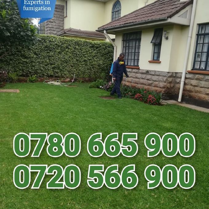 Home Fumigation Services