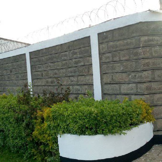 Perimeter Wall & Gate Painting Project for a Home in Jomvu