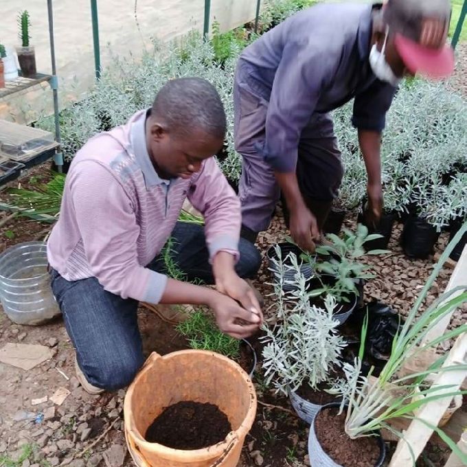 Best Gardening Services in Nakuru