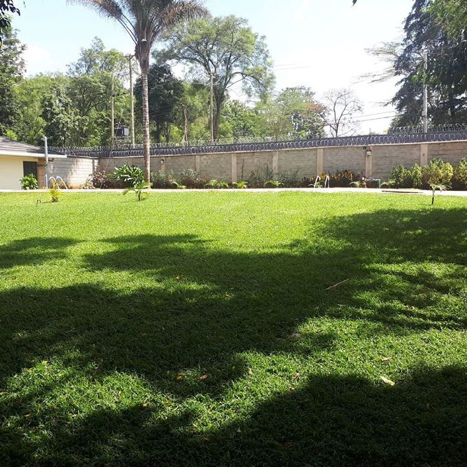 Mansion Landscaping Design Services in Nairobi