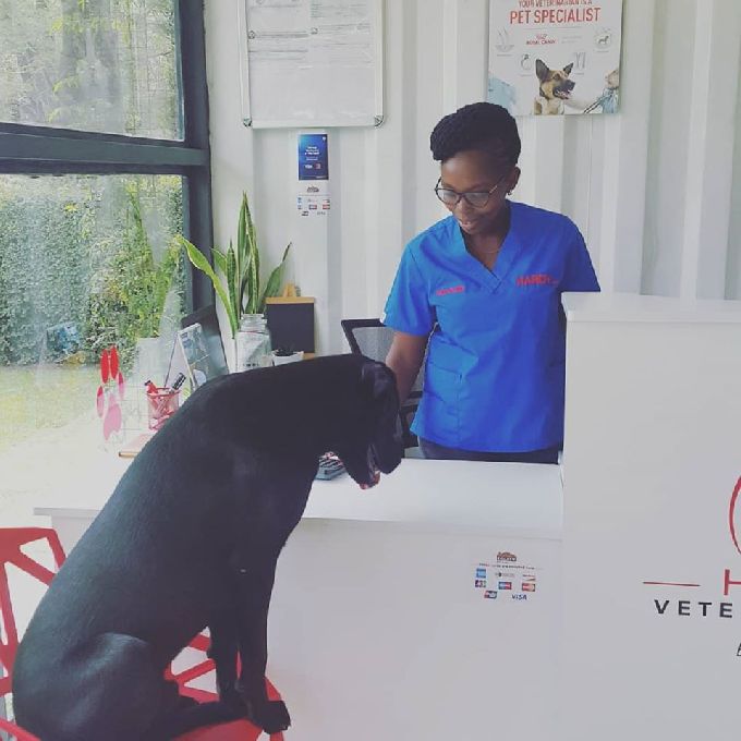 Professional Dog Check Up Services