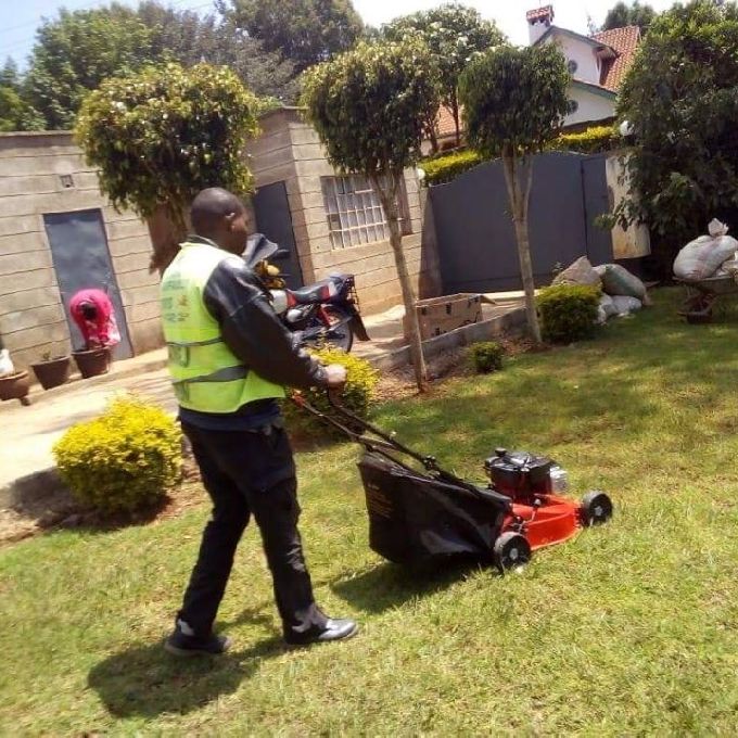 Lawn Mower repair Services