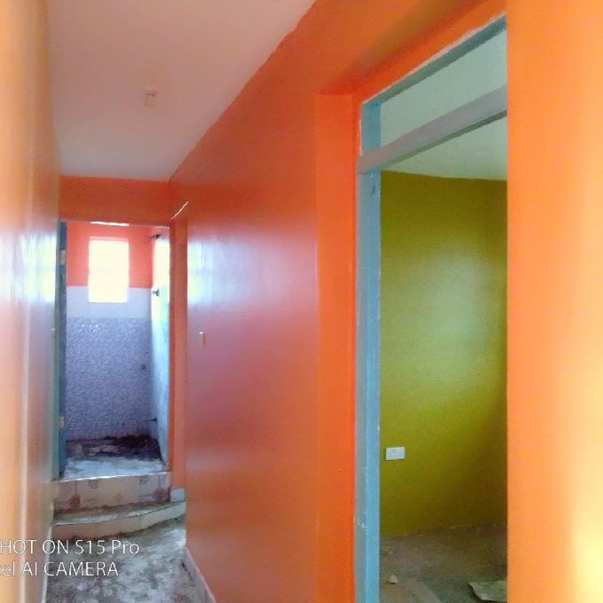 Professional Interior - Exterior Wall Painting Services