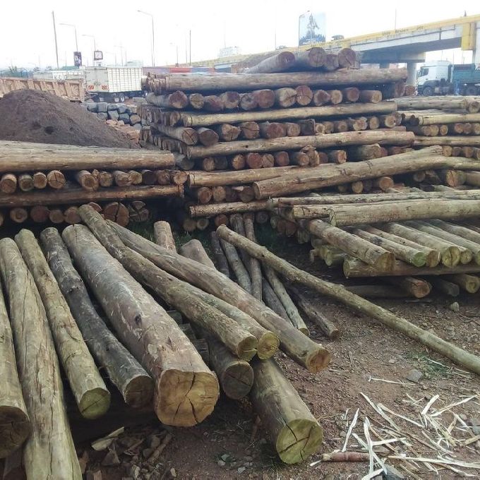 Affordable Treated Fencing Poles for Sale