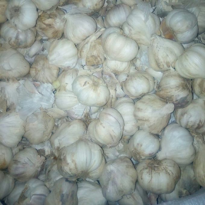 Affordable Garlic Onion/Kitunguu Saumu Sellers