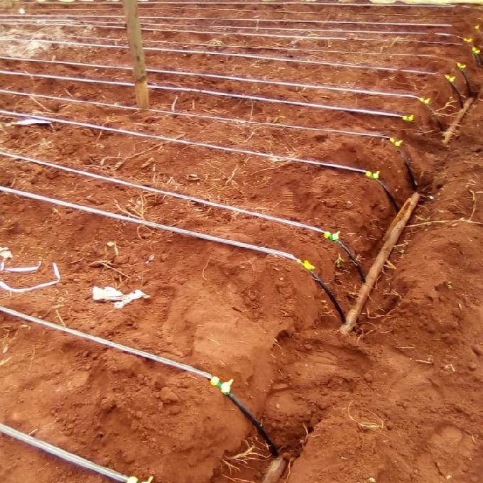 Drip irrigation Installation Services