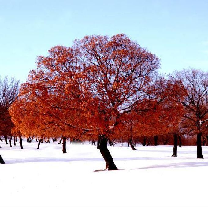 Top Bedroom Wall Mural Shops in Nairobi - Best Designs