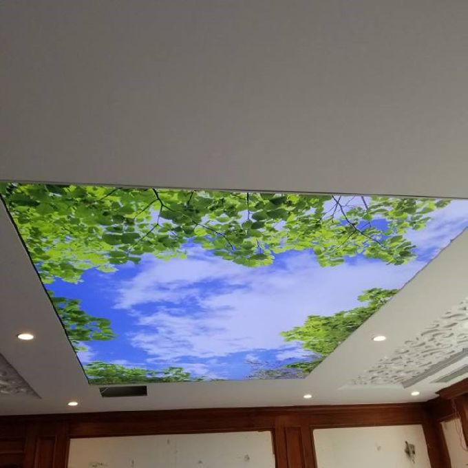 Decorative Ceiling Mural Installation Services in Langata