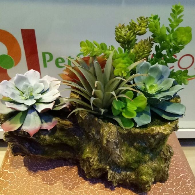Reliable Artificial Plastic Succulents Dealers in Ruiru 
