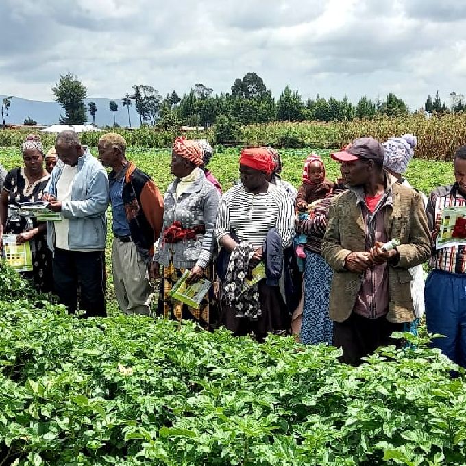 Find the Best Farm Manager in Naivasha