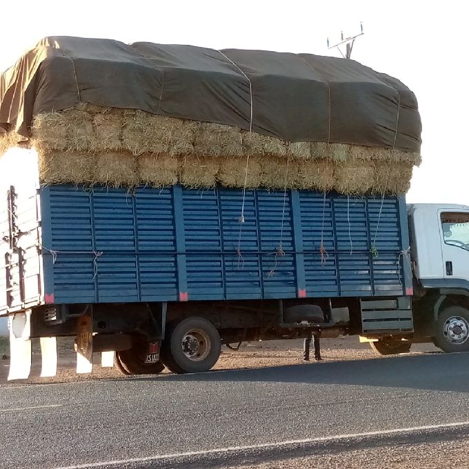 An Experienced and Professional Truck Driver in Nakuru