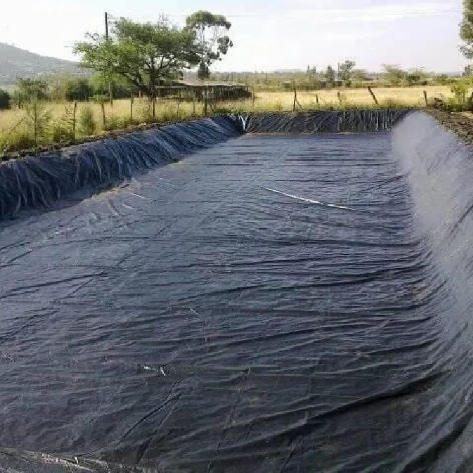 Construction Progress of a Fish Pond in Ruai