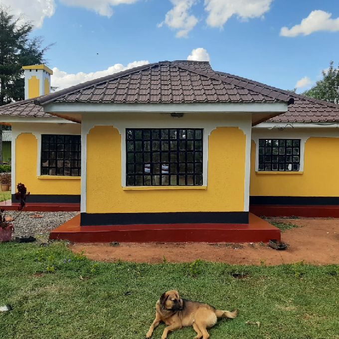 Obtain Affordable Exterior House Panting Services in Bungoma