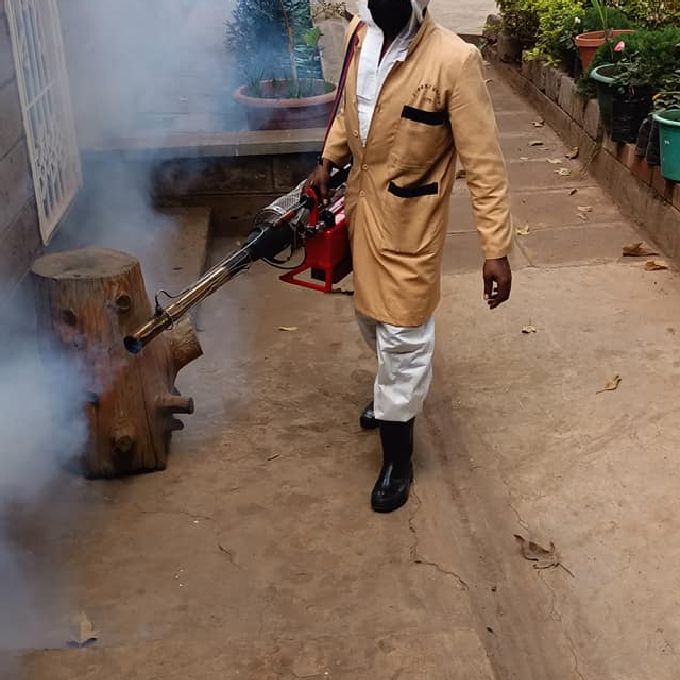 Fumigation and Pest Control Services for an Estate in Nanyuki