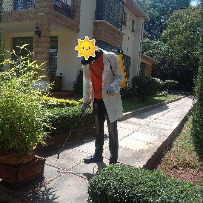 Affordable Fumigation Services for a Maisonette in Karen