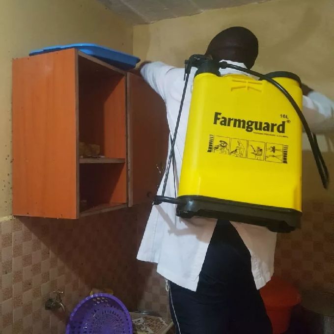 Reliable Fumigation Services for a Residential House in Juja