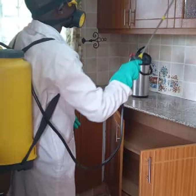Residential House Pest Control and Fumigation Services in Juja