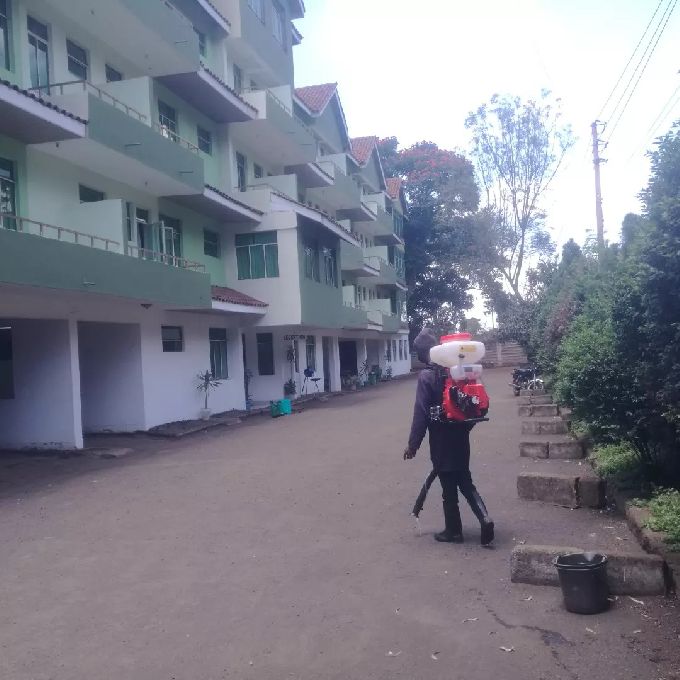 Affordable Fumigation Services For an Estate in Kericho