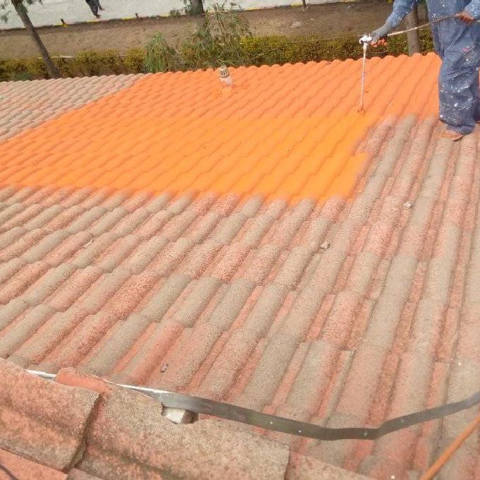 Professional Roof Painters for Hire for a School in Nyali